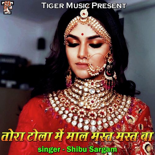 Tora Tola Me Mal Mast Mast Ba Shibu Sargam MP3 Download