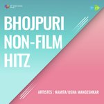 Bhojpuri Non Film Hitz Album Download