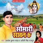 Somari Sawan Ke Album Download