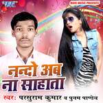 Nando Ab Na Sahata Album Download