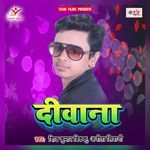 Deewana Album Download