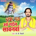 Aa Gail Sawanwa Album Download