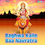 Baghwa Kaile Baa Navratra Album Download