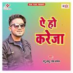 Ae Ho Kareja Album Download