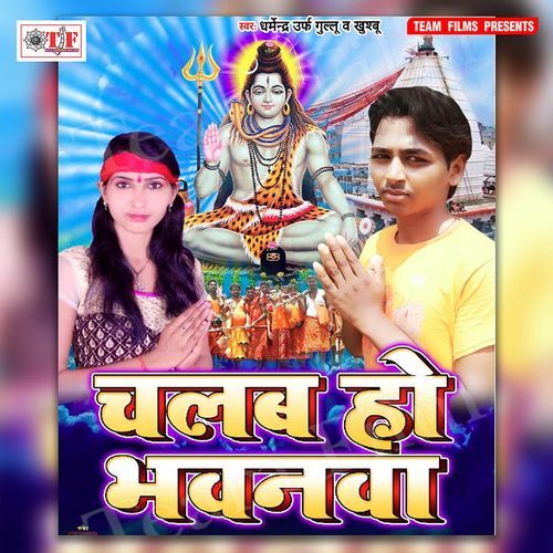 Chalab Ho Bhawanwa Dharmendra Gullu MP3 Download