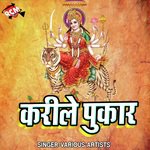 Karile Pukar Album Download