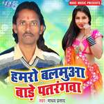 Hamro Balamua Bade Patrangwa Album Download