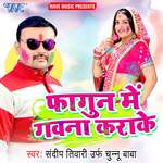Fagun Me Gawana Karake Album Download