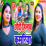 Chhaudi hilaw kamariya - Rabindra Kumar Song Download