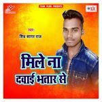 Mile Na Dawai Bhatar Se Album Download