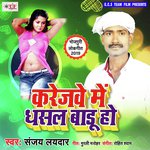 Sanjay Laydar