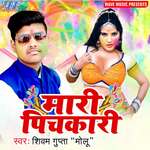 Mari Pichkari Album Download