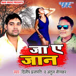 Ja Ae Jaan Album Download
