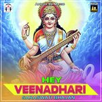 HEY VEENADHARI SARASWATI BHAJAN - Dharmendra Singh Mahi Song Download