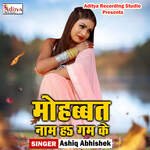 Mohobbat Naam Ha Gam Ke Album Download