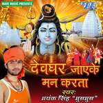 Devghar Jayeke Man Karata Album Download