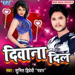 Diwana Dil Album Download