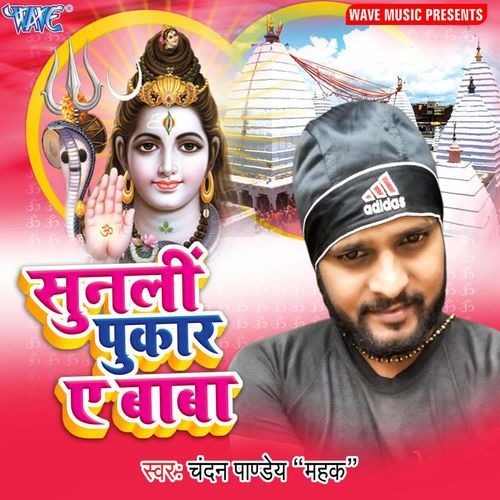 Sunli Pukar Ae Baba Chandan Pandey MP3 Download