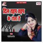 Dil Tadap Tadap Ke Rota Hai Album Download