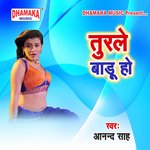 Turale Badu Ho - Dipti Pandey Song Download