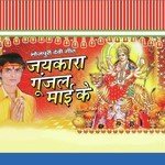 Chunnu Hulchal Songs MP3 Download