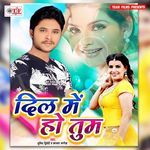 Dil Me Ho Tum Album Download