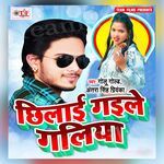 Chhilai Gaile Galiya Album Download