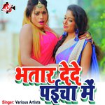 Bhatar De De Paicha Me - Suryakant Sargam Song Download