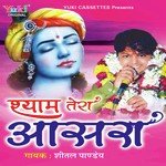 Sheetal Pandey Songs MP3 Download