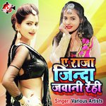 A Raja Jinda Jawani Rahi Album Download