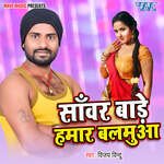 Sawara Bare Hamar Balamua Album Download