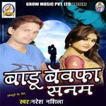 Badu Bewafa Sanam Album Download