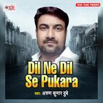 Dil Ne Dil Se Pukara - Arun Kumar Dubey Song Download